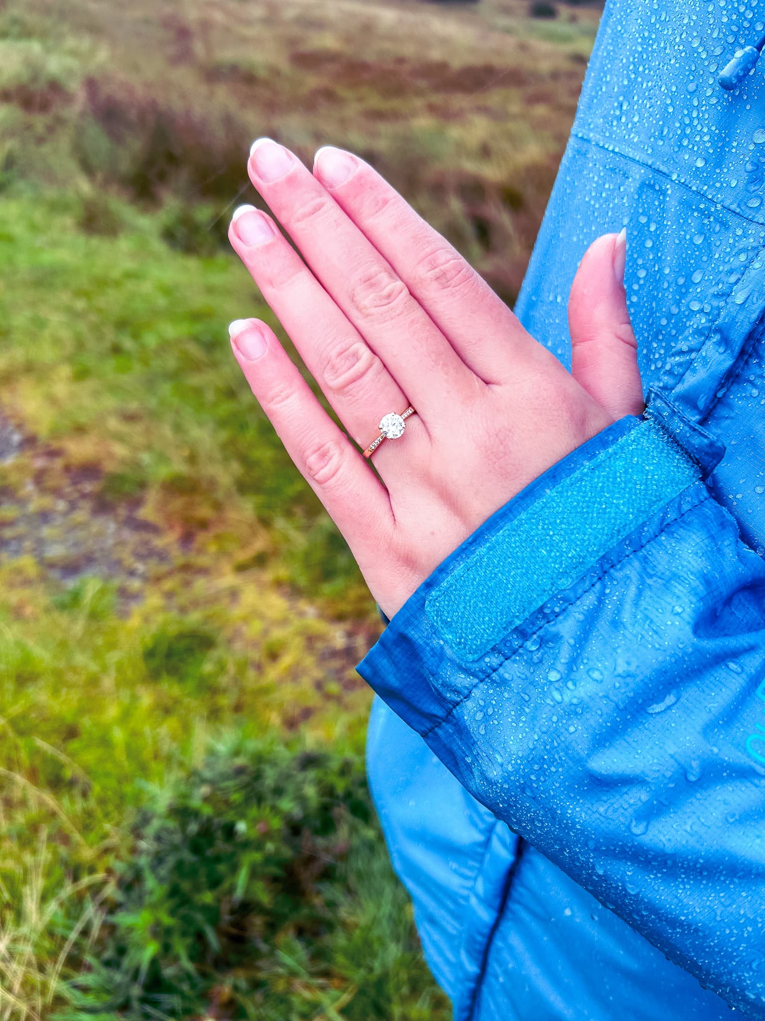 The Proposal